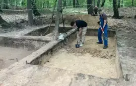 Las. Dwaj mężczyźni w ubraniach roboczych prowadzą prace odkrywkowe warstw ziemi