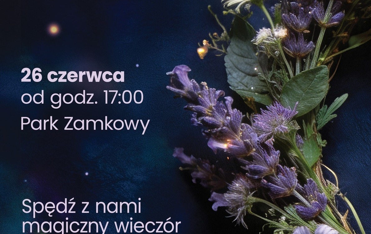 Zdjęcie do IX Wodzisławska Noc Świętojańska