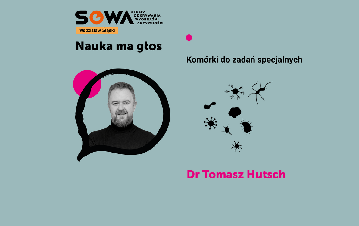 Zdjęcie do Nauka ma głos w wodzisławskiej Strefie SOWA