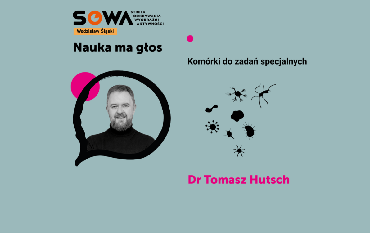 Zdjęcie do Nauka ma głos w Strefie SOWA w Wodzisławiu Śląskim&nbsp;